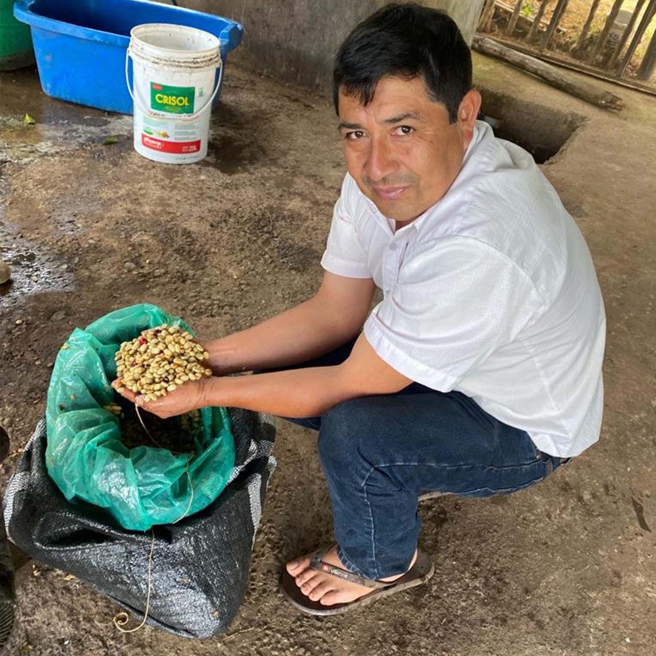 Peru Cordillera Andina koffie